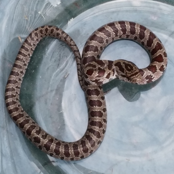 ๐ป๐Michelle๐๐ป - Picture 4 of 8